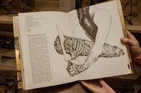 Culinary Arts Bookshops Image 6
