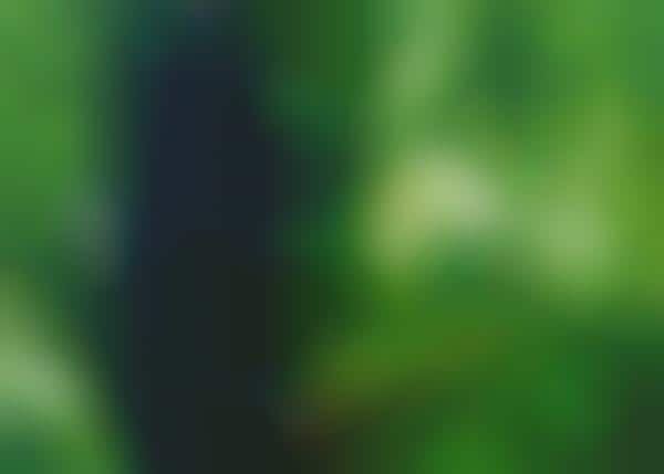 Smart Hydroponic System Controllers