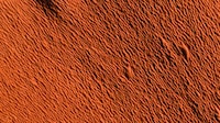 Vegan Linoleum Leathers Image 2
