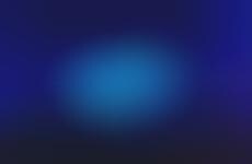 Nature-Inspired AI-Curated Concerts