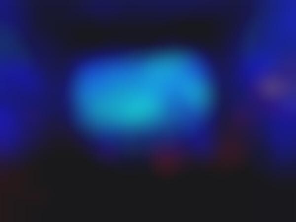 Nature-Inspired AI-Curated Concerts