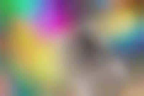 Provocatively Iridescent Magazine Issues
