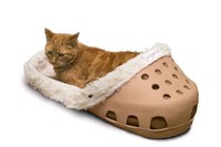 Cozy Slipper-Inspired Pet Beds Image 2
