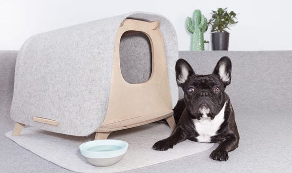 Top 100 Pets Trends in 2018
