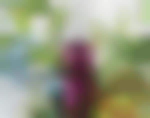 Revitalizing Preservative Serums