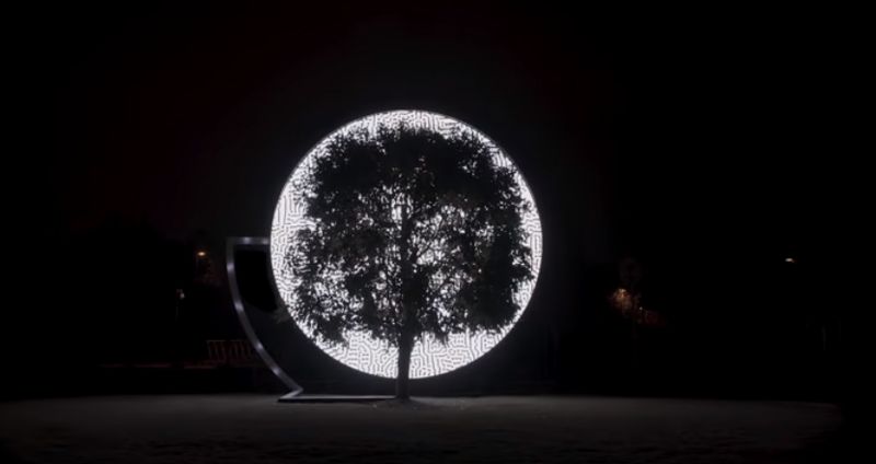 Tree-Monitoring Art Installations