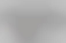 Adaptable Biomimicry Drones