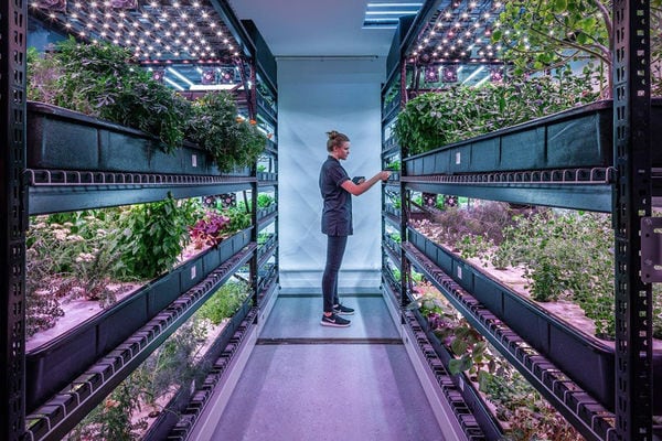 25 Indoor Urban Farming Examples