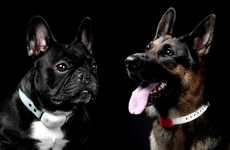 Fitness Tracker Dog Collars