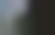 Pond-Filtering NYC Towers