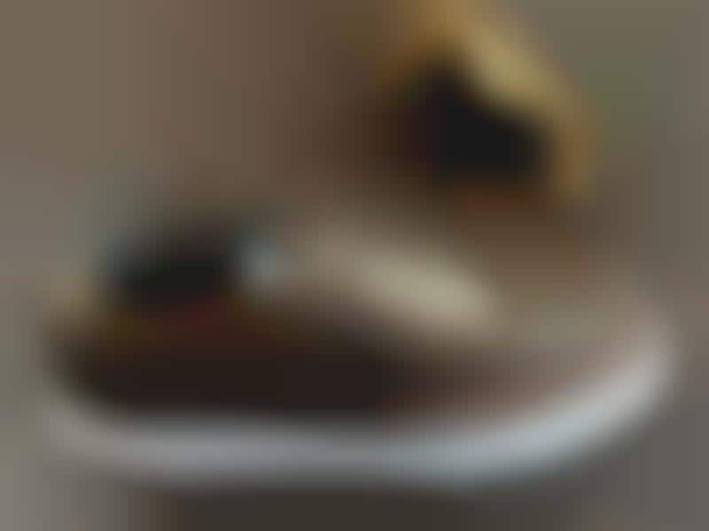 vegan biodegradable shoes