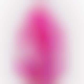 Pink Swirled Makeup Aplicators