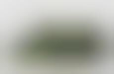 nike air max 1 grass