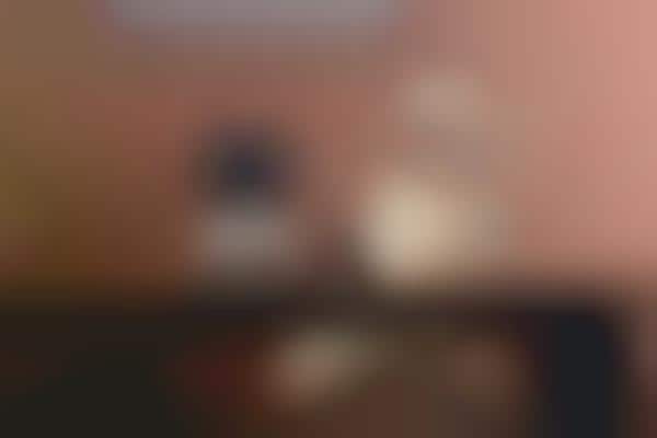 Connected Pet Cameras