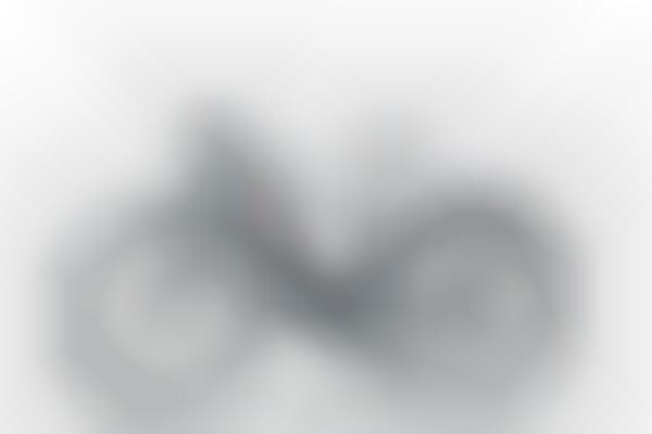Recreational Mobility E-Bikes