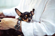 Corporate Pet Visitation Programs