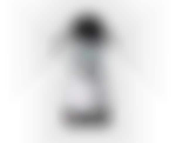 Business-Ready Humanoid Robots