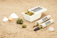 Ocean Plastic Cannabis Packaging Article Thubnail