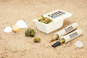 Ocean Plastic Cannabis Packaging Article Thubnail