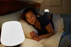 Voice Assistant Lighting Systems