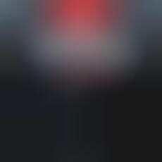 Ultra-Exclusive Fight Night VIPs : UFC VIP