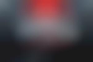 Ultra-Exclusive Fight Night VIPs : UFC VIP