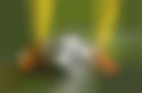 Interactive Soccer Ball Tech