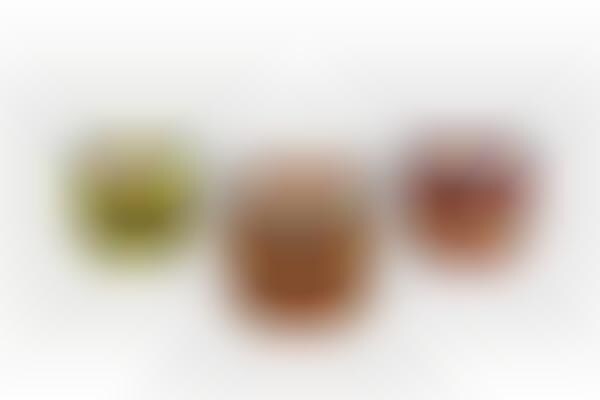 Probiotic-Packed Dog Yogurts