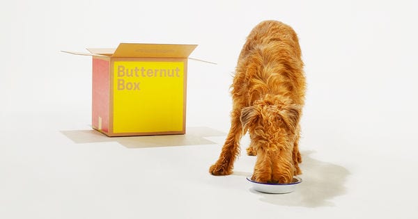 20 Nutritious Pet Foods
