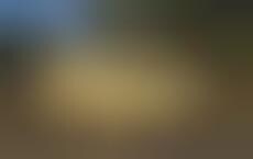 Spacious Cabriolet Motorhomes : modern motorhome