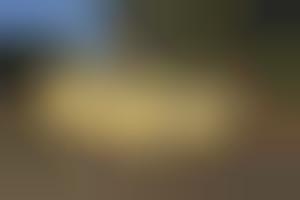 Spacious Cabriolet Motorhomes : modern motorhome