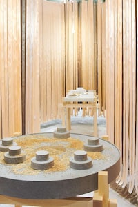 Sensorial Seed Installations Image 6