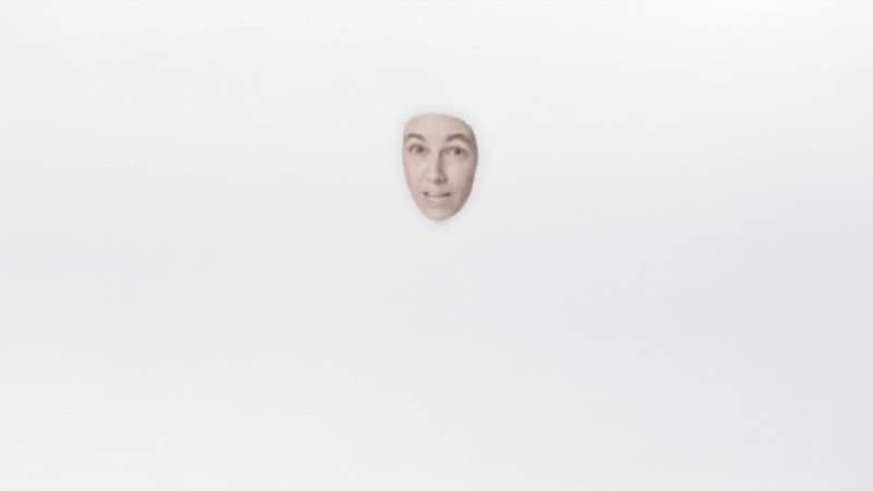 Deepfake Art Video Installations