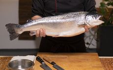 Sustainable Salmon Startups Article Thubnail