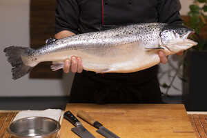 Sustainable Salmon Startups Article Thubnail