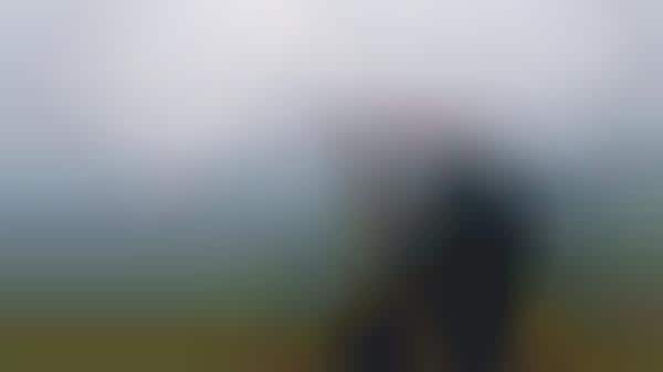 Language-Unifying Commercials