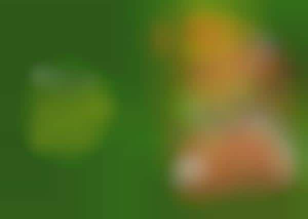 Bite-Sized Butter Chicken Nuggets