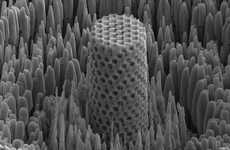 Innovative Metallic Wood Materials