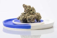 Citrus Dessert Cannabis Strains Image 2