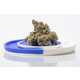 Citrus Dessert Cannabis Strains Image 2