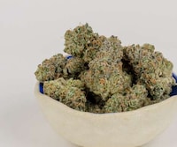 Citrus Dessert Cannabis Strains Image 4