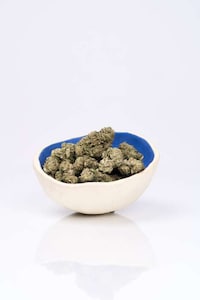 Citrus Dessert Cannabis Strains Image 5