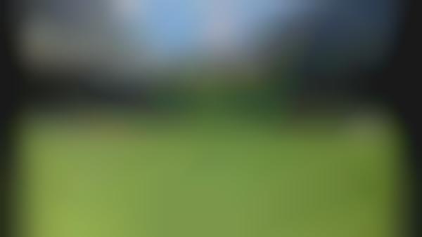 Sports Field Plant Walls