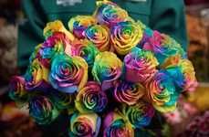 Inclusive Rainbow Roses