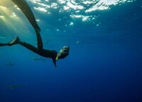 Handheld Shark Deterrent Devices Image 2