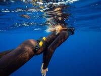 Handheld Shark Deterrent Devices Image 4