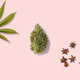 Luxury Cannabis Flowers Image 2