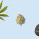 Luxury Cannabis Flowers Image 5