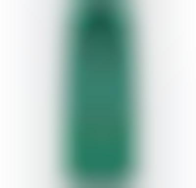Cooling Mint Shampoos
