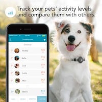 Subscription-Free Pet Finders Image 2